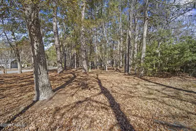 10 Canebrake Lane, Bluffton, SC 29910 - Photo 33