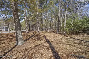 10 Canebrake Ln, Bluffton, SC 29910 - Photo 33