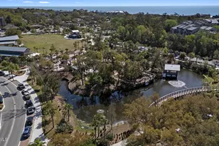 25 Deallyon Ave, Hilton Head Island, SC 29928 - Photo 27