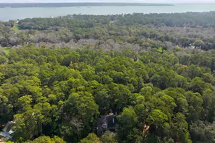 3 Wood Duck Ct, Daufuskie Island, SC 29915 - Photo 45