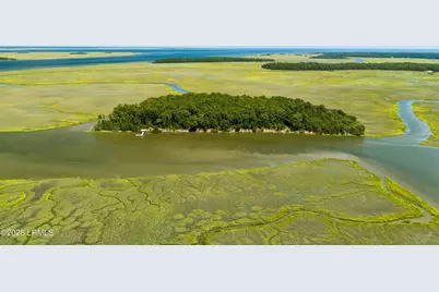 Tbd Blackwall Island, Saint Helena Island, SC 29920 - Photo 39