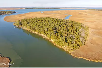 Tbd Blackwall Island, Saint Helena Island, SC 29920 - Photo 1