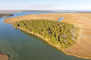 Tbd Blackwall Island, Saint Helena Island, SC 29920 - Photo 1
