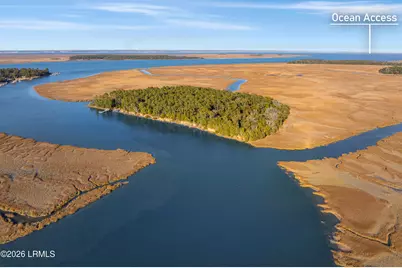 Tbd Blackwall Island, Saint Helena Island, SC 29920 - Photo 3