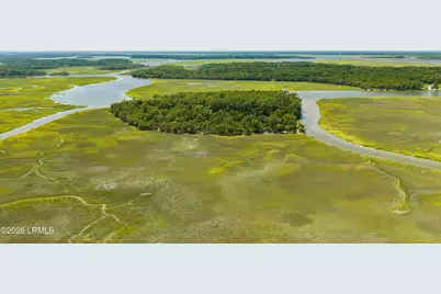 Tbd Blackwall Island, Saint Helena Island, SC 29920 - Photo 43