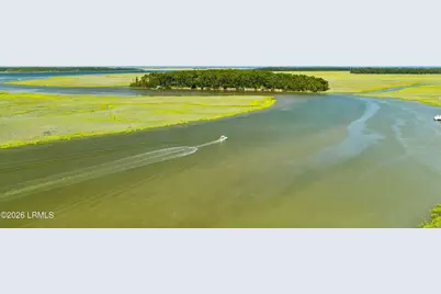 Tbd Blackwall Island, Saint Helena Island, SC 29920 - Photo 9