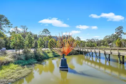 16 Dove Street, Hilton Head, SC 29928 - Photo 57