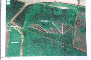 2650 Joe Miley Rd, Brunson, SC 29911 - Photo 1