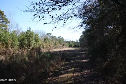 2650 Joe Miley Road, Brunson, SC 29911 - Photo 13