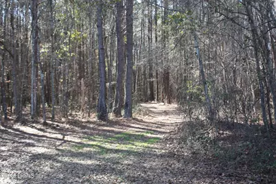 2650 Joe Miley Road, Brunson, SC 29911 - Photo 11