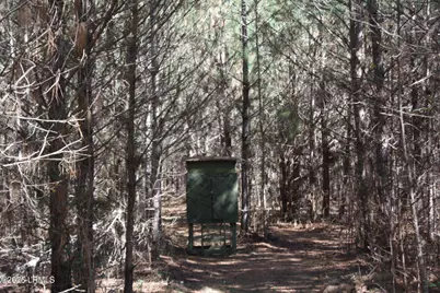 2650 Joe Miley Road, Brunson, SC 29911 - Photo 3