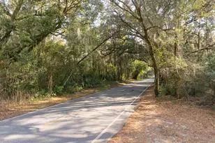 Tbd Meridian Rd, Beaufort, SC 29907 - Photo 1