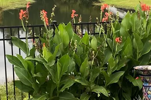 803 Hearthstone Dr, Ridgeland, SC 29936 - Photo 47