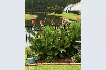 803 Hearthstone Drive, Ridgeland, SC 29936 - Photo 43