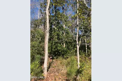 Tbd Talisman Drive, Beaufort, SC 29906 - Photo 21