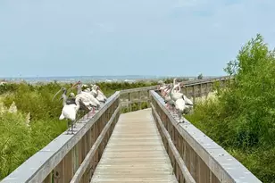 4 Cedar Reef Dr, Saint Helena Island, SC 29920 - Photo 35