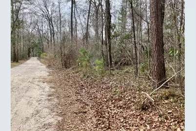 0 Delta Estates Road, Hardeeville, SC 29927 - Photo 5
