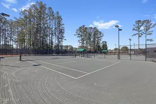 141 Firethorn Ln, Hardeeville, SC 29927 - Photo 75