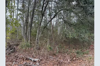 145 Savannah Highway, Beaufort, SC 29906 - Photo 5