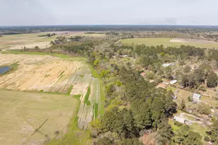 162 Dove St, Ridgeland, SC 29936 - Photo 51