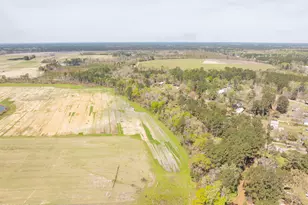 162 Dove St, Ridgeland, SC 29936 - Photo 49