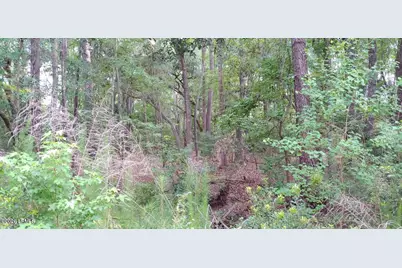 12 Sea Gull Drive, Beaufort, SC 29907 - Photo 5