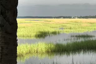 50 Long Point Dr, Beaufort, SC 29907 - Photo 81