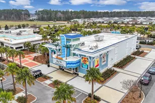 220 Sandbar Ln, Hardeeville, SC 29927 - Photo 29