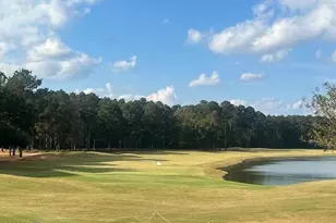 377 Dogwood Ln, Hardeeville, SC 29927 - Photo 61