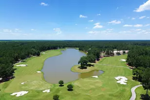 377 Dogwood Ln, Hardeeville, SC 29927 - Photo 51