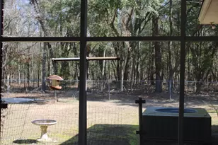 1013 Allen St, Allendale, SC 29810 - Photo 11