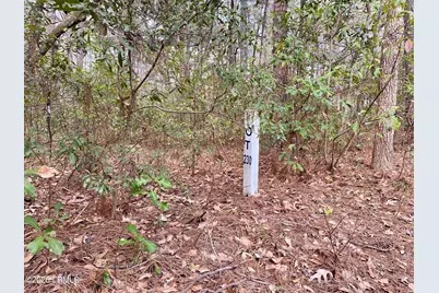 3 Blake Lane, Seabrook, SC 29940 - Photo 9