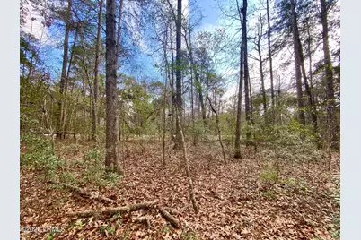 3 Blake Lane, Seabrook, SC 29940 - Photo 11