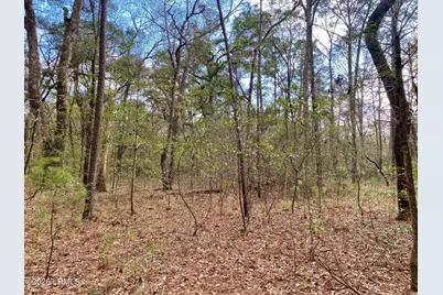 3 Blake Lane, Seabrook, SC 29940 - Photo 15