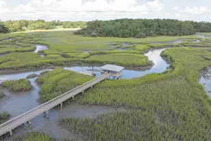 2947 Needlegrass Dr, Beaufort, SC 29902 - Photo 49