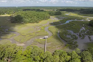 2947 Needlegrass Dr, Beaufort, SC 29902 - Photo 47