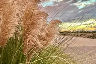 1 Cedar Reef, Saint Helena Island, SC 29920 - Photo 57