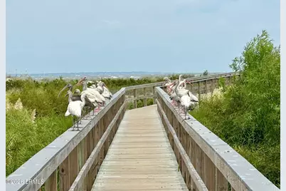 1 Cedar Reef #F204, Saint Helena Island, SC 29920 - Photo 61
