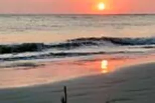 1 Cedar Reef, Saint Helena Island, SC 29920 - Photo 55