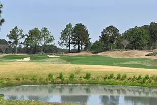 1118 Riverton Pointe Blvd, Hardeeville, SC 29927 - Photo 41