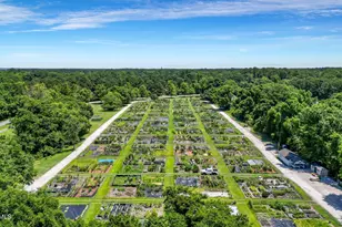 2 Cattail Ct, Hilton Head, SC 29926 - Photo 57