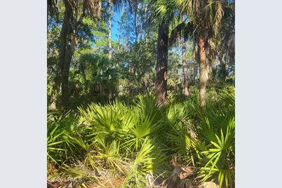 26 Lakeview Lane, Saint Helena Island, SC 29920 - Photo 5