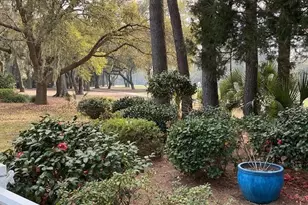 754 Island Cir E, Saint Helena Island, SC 29920 - Photo 35