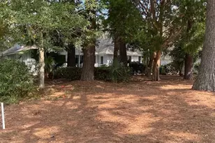 754 Island Cir E, Saint Helena Island, SC 29920 - Photo 45