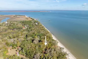 8 Saltwind Dr, Saint Helena Island, SC 29920 - Photo 47