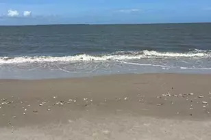 8 Saltwind Dr, Saint Helena Island, SC 29920 - Photo 65
