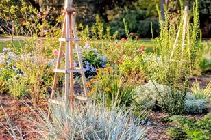 989 Dowlingwood Dr, Beaufort, SC 29902 - Photo 37