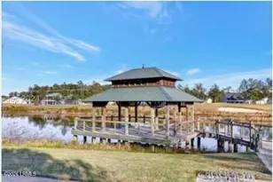 1466 Wiregrass Way, Hardeeville, SC 29927 - Photo 43