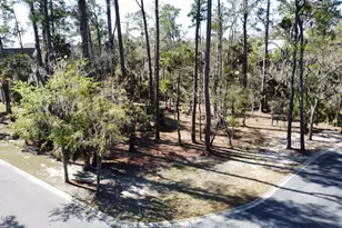 401 Islands Ave, Beaufort, SC 29902 - Photo 1