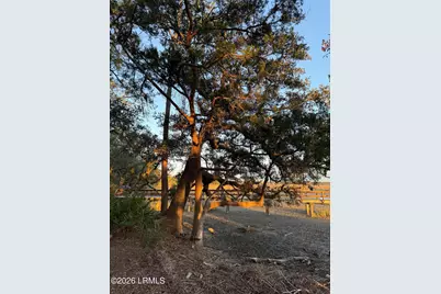 401 Islands Avenue, Beaufort, SC 29902 - Photo 17